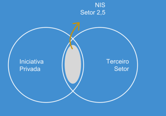 Organograma que indica onde estão inseridos os negócios de impacto social.